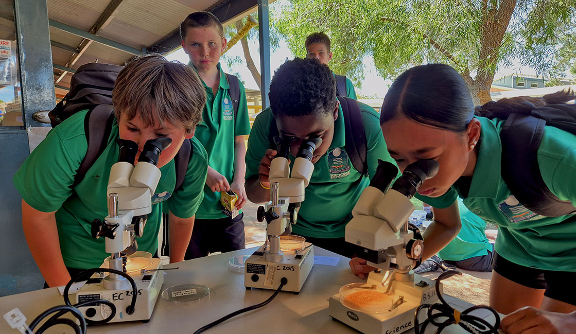 Career section Students looking through microscopes Banner