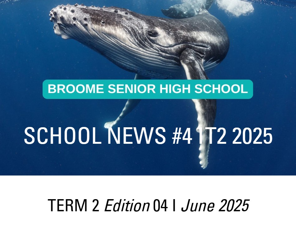 Newsletter Edition 3