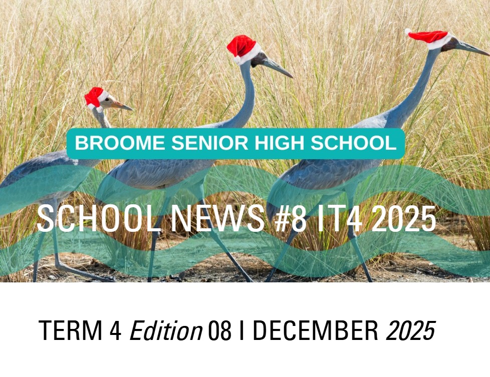 Term 4 Newsletter-Edition 7